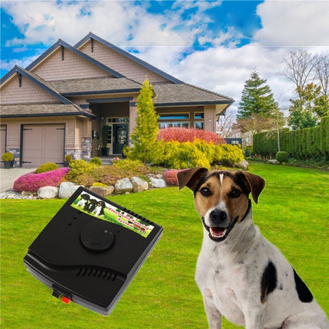 W-227 Sistema di collare antiurto per recinzione elettrica per cani e gatti, W-227