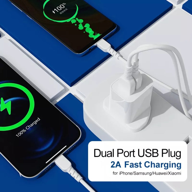 Dual 2A USB Charger Adapter for Fast Device Charging