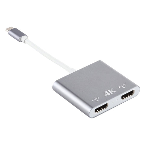 Adaptateur double interface HDMI 4K Ultra HD avec adaptateur USB-C/Type-C