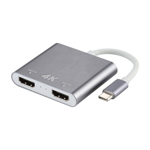 Adaptateur double interface HDMI 4K Ultra HD avec adaptateur USB-C/Type-C