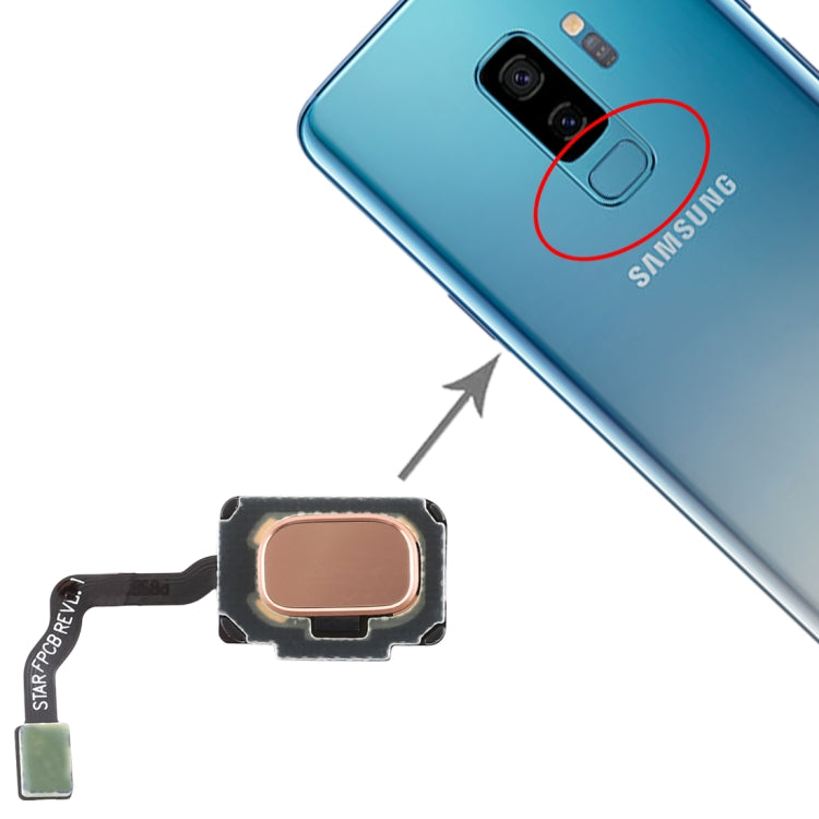Galaxy S9/S9+ Fingerprint Sensor Flex Cable Replacement