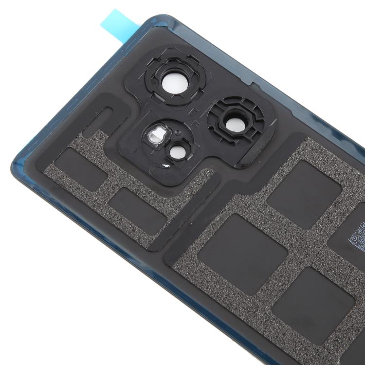 Realme GT 6 Original Back Cover with Camera Lens Protection