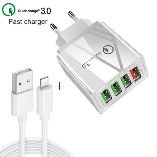 2-in-1 USB to 8 Pin Cable & 30W Quick Charger Set