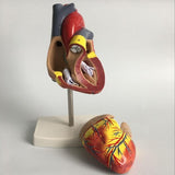 Miniatura del prodotto