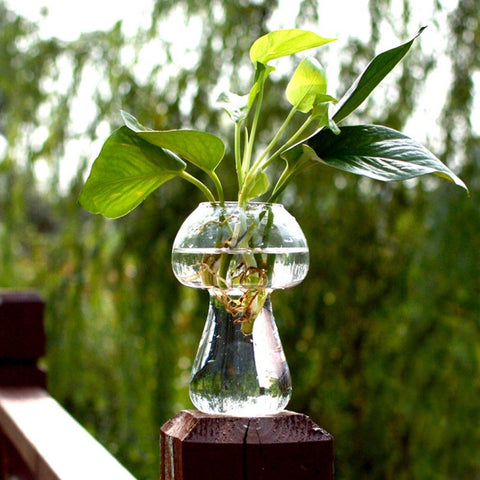 Decorazione della tavola della casa del fiore del contenitore della bottiglia del terrario del vaso di vetro a forma di fungo