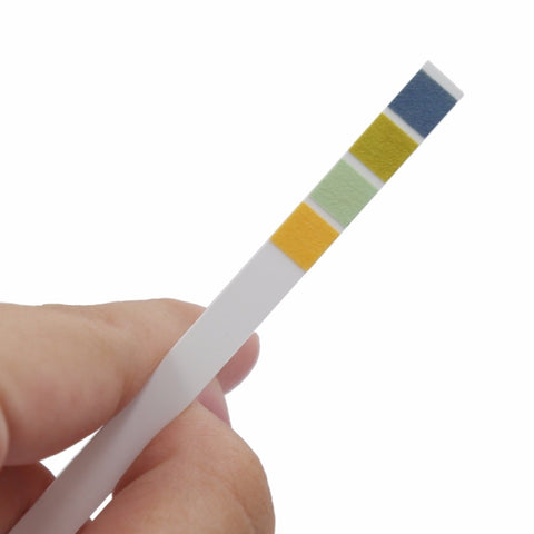 100 bandes/bandes de bandes réactives par pH Carta pour tornasole premium en échelle 0-14 Idéal pour tester le niveau de pH de l'eau, 100 bandes