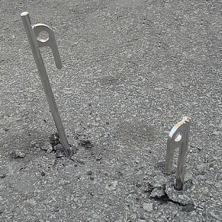 Picchetti per tende da campeggio in acciaio inossidabile durevoli da 30 cm per esterni per accessori per tende da campeggio da viaggio