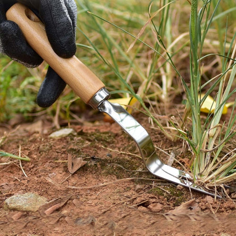 Strumento per la raccolta delle radici con manico in legno per diserbo spesso in acciaio inossidabile, Wooden Handle Root Picking Tool