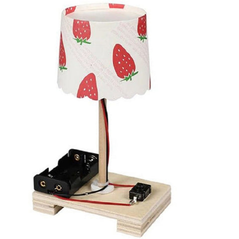 Lampada da tavolo piccola creativa fai-da-te Tecnologia Piccola produzione Studenti della scuola primaria Manuale Esperimento di scienza dei materiali, DIY Small Table Lamp