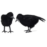 Miniatura del prodotto
