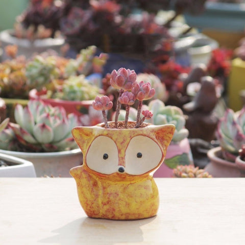 Vaso da fiori carnoso in ceramica Vaso da fiori succulento con pollice Vaso da fiori con volpe, consegna colore casuale (senza piante), Fox Flower Pot