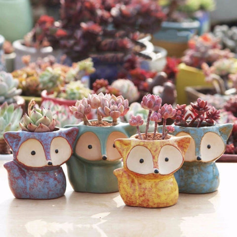 Vaso da fiori carnoso in ceramica Vaso da fiori succulento con pollice Vaso da fiori con volpe, consegna colore casuale (senza piante), Fox Flower Pot