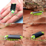 Miniatura del prodotto