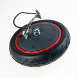 Miniatura del prodotto