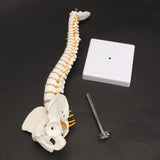 Miniatura del prodotto