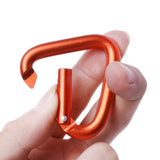 Miniatura del prodotto