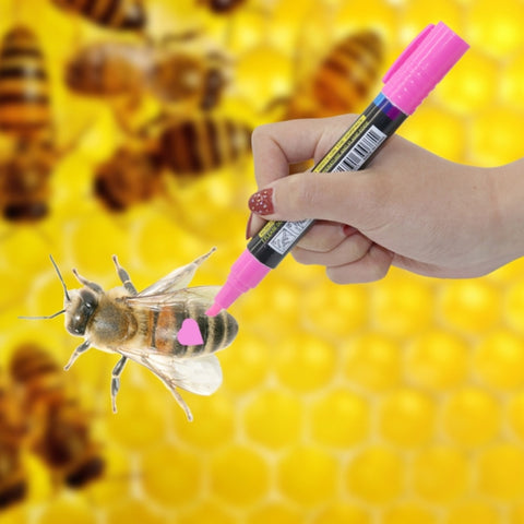 Il pennarello Queen Bee Marker Bee Special Marker Pen non danneggia l'evidenziatore delle api, consegna a colori casuale, The Queen Bee Marker Pen