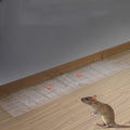 Effective Anti-Rodent Sticky Board for Mouse Control