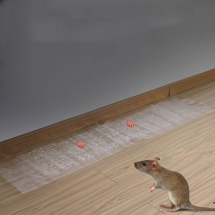 Effective Anti-Rodent Sticky Board for Mouse Control