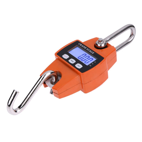 300 kg x 100 g LCD digitale portatile in acciaio inossidabile con gancio Mini bilancia elettronica a gancio, 300kg x 100g