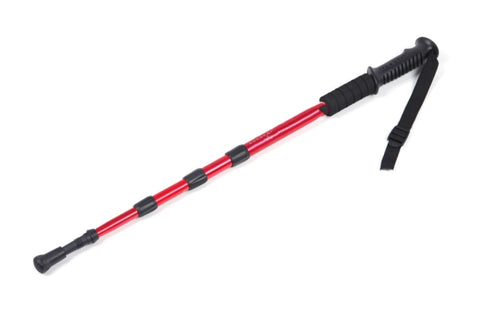 Canna da alpinismo 105 cm disponibile in cinque colori: Viola, Rosso,