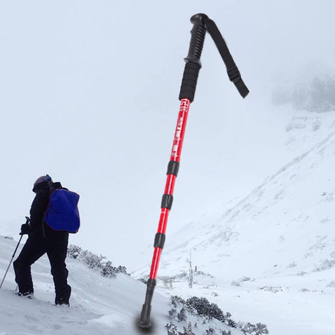 Canna da alpinismo 105 cm disponibile in cinque colori: Viola, Rosso,