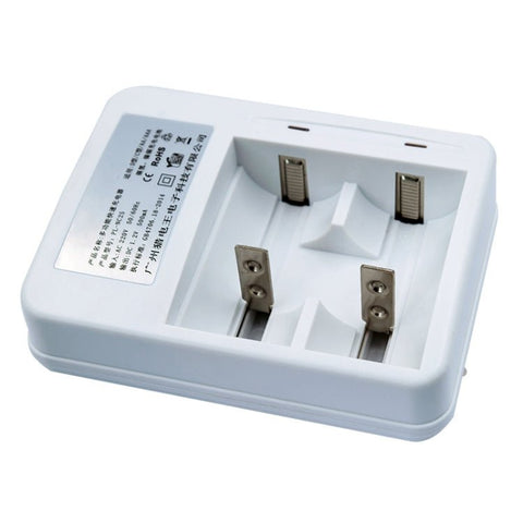 Caricabatteria CA 220 V a 2 slot per batterie AA, AAA e C/D, spina CN - Novalix Store